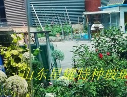 彩色夾膠玻璃